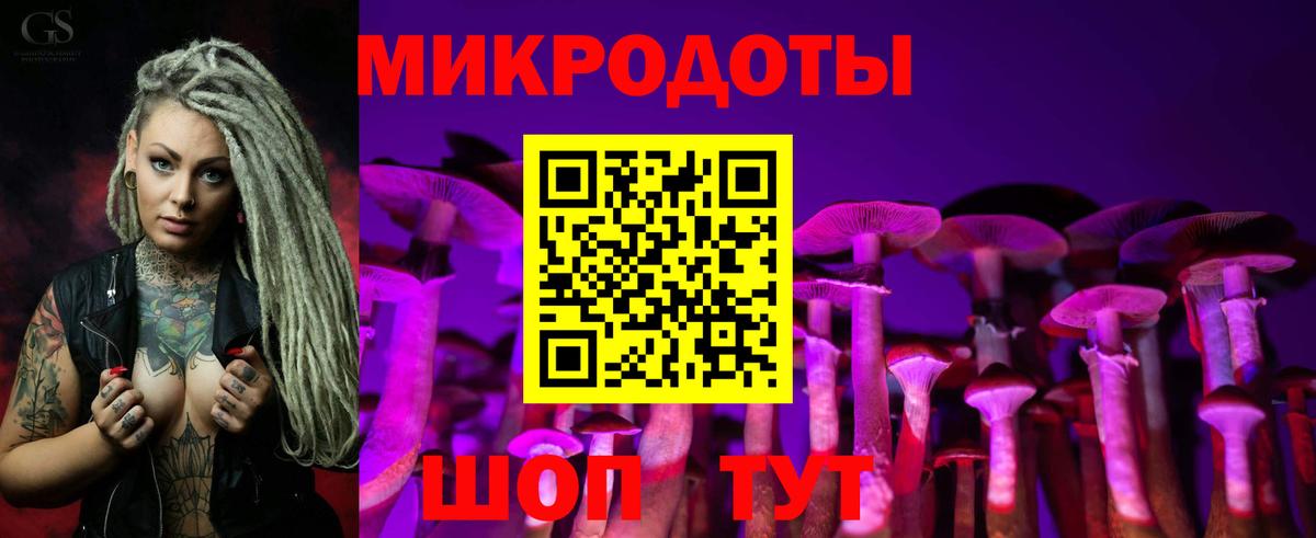 Зима  Галлюциногенные грибы Psilocybine cubensis  где купить наркотик  Вход с VPN 